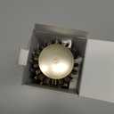 AIMIKE Round Hair Brush, Nano Thermal Ceramic & Ionic Tech, 2.1 Inch Barrel with Boar Bristles for Enhanced Texture, Golden, Hair Drying, Styling, Curling and Shine + 4 Free Clips