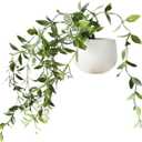 3D Green Plants Decorative Magnets for Fridge,Fridge Magnet Locker Magnets for Office Kitchen House,Refrigerator Magnets Refrigerator Magnets for Adults, Kitchen Accessories