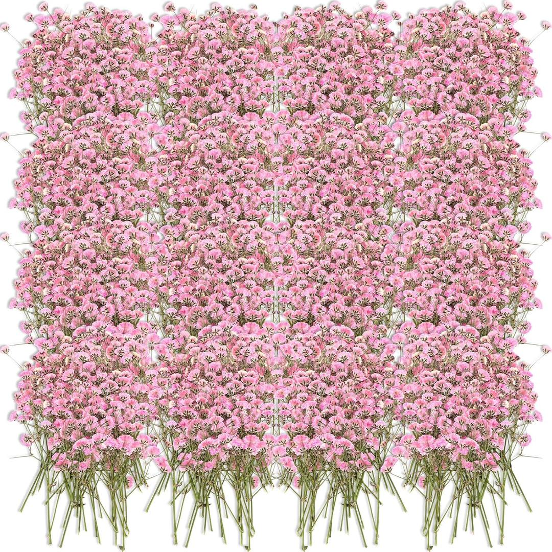 Tinideya 100 Pcs Dried Babys Breath Flowers Bulk Babys Breath Real Pressed Flowers Natural Gypsophila for Resin Wedding Art Craft Baby Shower DIY Invitations Scrapbooking Card Making(Pink)