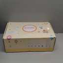 BABESIDE Reborn Baby Dolls with Bassinet Accessories - 20-inch Cute Soft Vinyl Realistic Baby Doll Real Life Baby Dolls with Complete Accessories Perfect for Cuddling, Playtime, and Gift Giving