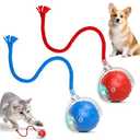 RunBuxd 2Pcs Tinyfetch Dog Toy, Interactive Dog Cat Toys Balls with Birdsong, Rechargeable 360° Smart Automatic Rolling Electric Dog Ball Toy with Rope for Pets Indoor & Outdoor Play (Red+Blue)