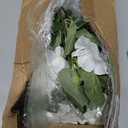 Artificial Flowers for Outdoors, Faux Petunias Spring Summer Decoration, Fake Flowers Plants UV Resistant Look Real Silk Flowers for Outside Planter Front Door Porch Patio Yard (6, White)