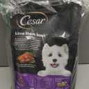 Cesar Small Breed Dry Dog Food for Small Dogs, Filet Mignon Flavor and Spring Vegetables Garnish, 5 lb Bag (5 Pound (Pack of 1))