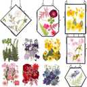 5 Pcs Glass Frame for DIY Pressed Flowers Art Brass Hanging Photo Picture Frame with Chain and 6 Styles Pressed Flowers Collage Glass Craft Frames for Wall Decor Display Gallery (Black)