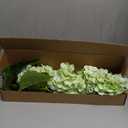 Waipfaru 21" Real Touch Hydrangea Artificial Flowers with Long Stem & Leaves, Full Latex Faux Hydrangea Flowers for Home Decor Party Floral Arrangements Wedding Bouquets Centerpieces, Green 3Pcs