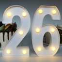26th Birthday Decorations for Women, 26th Party Decor for Men, Light Up Numbers 26 Centerpieces Table Sign, 26 Birthday Supplies Gifts for Her & Him