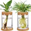 Biggun Plants Propagation Station - 2Pcs Desktop Plant Terrarium Glass Hydroponic Vases, Water Plant Jars, Gardening Gifts for Women Mom Plant Lovers (Thick Straight Shape, Separated Tray Style)