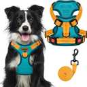 MIDOG No-Pull Dog Harness | Adjustable & Reflective Pet Harness Leash Set for Small Medium Large Dogs Walking, Training| No Choke, Front Clip, Soft Padded Vest with Easy Control Handle - Blue, XL