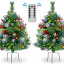 Set of 2 30 Inch Lighted Outdoor Christmas Tree with Remote, 50 Led Lights, Battery Operated Pre-Lit Urn Filler Porch Decorations with Pine Cones, Red Berries, Green Leaves for Home, Porch, Yard Decor
