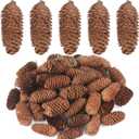 50 Pieces Natural Hanging Pine Cones with Claw Nails Christmas Snow Pine Cones Crafts Rustic Fall Garland Large Halloween Thanksgiving Decorations Christmas Tree Fall Ornaments for DIY