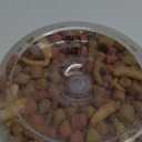 Fluker's Buffet Blend Aquatic Formula, Turtle Food with Freeze, Dried Shrimp, Mealworms, and Vitamin Enriched Pellets, 7.5 oz. BB: 04/27