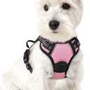 rabbitgoo Dog Harness No Pull with 2 Leash Clips, Adjustable Soft Padded, Reflective Oxford No Choke Pet Vest with Easy Control Handle for Puppy, Pink, XS