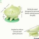 Ceramic Slow Feeder Bowl, Elevated CAT & Dog Slow Feeder, Wide-Mouth, PAW Design, Stylish Design, for Fast Eaters, Non Slip, Pets, Small & Medium Sized Breeds, (Green)