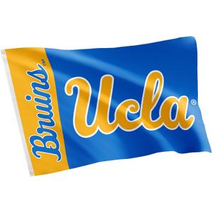 Desert Cactus UCLA Bruins Flag University of California Los Angeles Banners 100% Polyester Indoor Outdoor 3x5 feet Flags (Team Name)