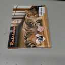 Electrostatic Pet Hair Remover Glove for Dogs &Cats, Reusable Cat Dog Magic Brush pet Hair, Suitable for Sofas, Clothing, Carpets, Curtains (1Pcs)