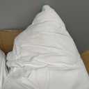 Sealy Perfect Temp Bed Pillows, Plush 100% Cotton Cover, Soft, Breathable, Temperature Balancing, Moisture Wicking, Hypoallergenic EverFluff Fiberfill, Machine Washable, Standard/Queen, White - 2 Pack