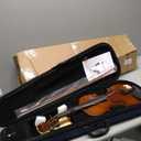 Aileen 4/4 Violin Set for Beginners, Full Size Fiddle Kit for Adults Starters and Children Teenager Students (Used needs new strings)