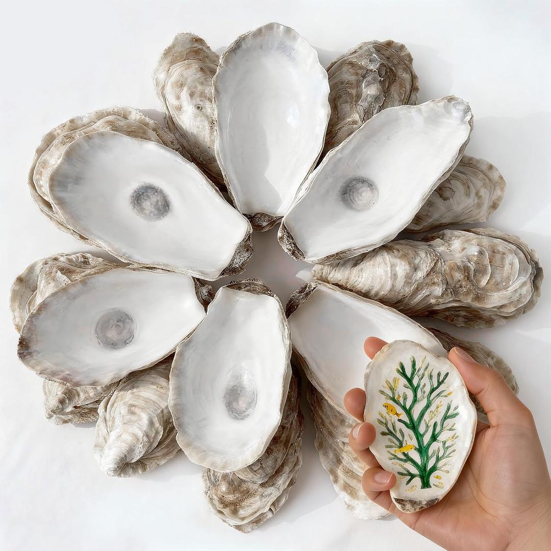 VMEECARL 30Pcs 4"-6" Oyster Shells for Crafts Natural Large Oyster Shells for DIY Crafting Christmas Ornaments Decoupage Beach Decor Arts and Crafts Bulk Clam Shells Sea Shells for Chicken