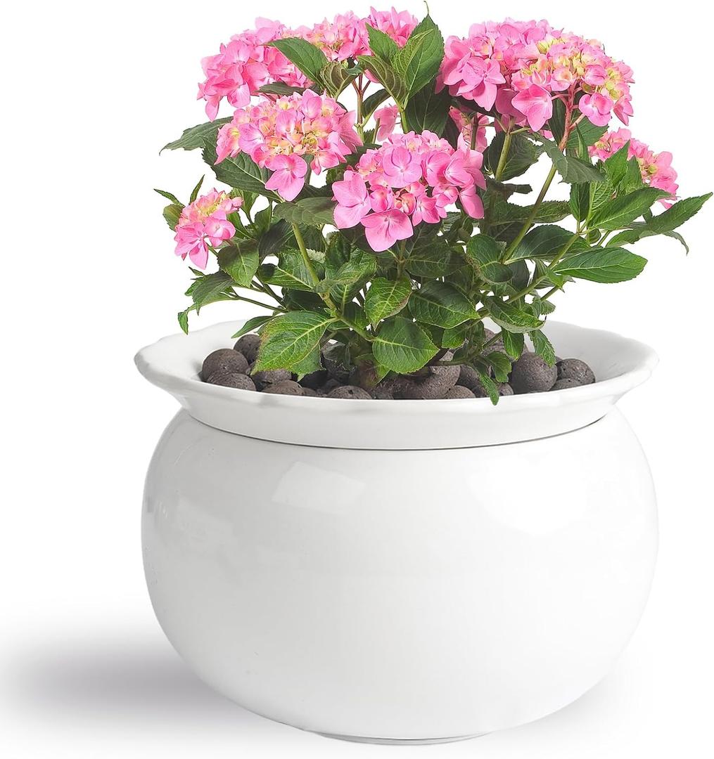 BUYMAX African Violet Pots, 6 inch Ceramic Easy Self Watering Plant Pot for Busy Plant Lovers, Automatically Absorb Appropriate Amount of Water, Flower Pot Indoor-Plants Not Included (Wihte)