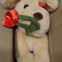 Oukiwi 10 Inch Valentine's Stuffed Animal, Stuffed Animal Dog, Ideal for Valentine's Day Gifts for Family (Style - C)
