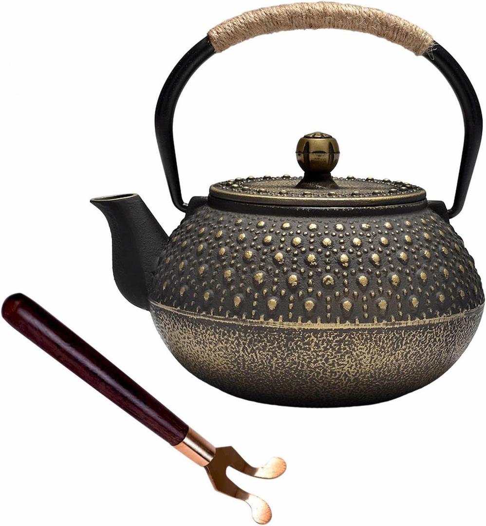 Cast Iron Tea Kettle - Japanese Teapot with Lid Clip and Stainless Steel Infuser, Cast Iron Tea Pot Coated with Enameled Interior for Stovetop, 30oz