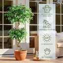 5FT Artificial Ficus Tree with White Planter, Tall Faux Ficus Tree with Lifelike Leaves and Realistic Trunk, Artificial Plants Indoor for Décor Home Office Living Room