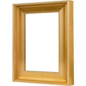 Canvas Floater Frames for 16"x20"Canvas Paintings,Canvas Frame,Floating Frames for Canvas with 0.6"~0.9" Deep for Wall Decor (Gold)