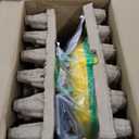 Bounce House Blower, 1100W/1.47HP Commercial Air Blower with Double-Sided Fan Blade Design, Strong Wind and Great Heat Dissipation Properties for Bouncy Castle, Jump Slides, Arch, Inflatables