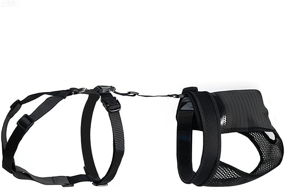 Female Dog Heat Pants with Harness Design - Anti-Slip, Anti-Mating, Reusable & Washable Underwear for All-Day Protection (Black, S)