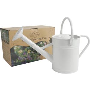 1 Gallon Metal Watering Can for Indoor Plants Outdoor Plants, Large Water Can, Garden Water Can for Kids, Detachable, Water Can with Handle, White
