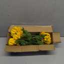 Hollyone 5Pcs Fake Mums Flowers Yellow Artificial Chrysanthemum Flowers Silk 22.8inch Long Stem Floral Arrangements Bouquets Faux Spider Mum Flower Pincushion Flower Bush Spring Home Decor