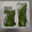 2PCS Easter Rabbit Decoration Green Moss Plush Rabbit Artificial Sculpture Green Plush Rabbit Resin Ornament Spring Garden Decoration Easter Gift Easter Decoration (Small 2PCS Standing+Sitting)