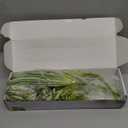 2 Pcs Artificial Spider Hanging Plant Artificial Bracketplant Chlorophytum Fake Greenery for Outdoor Porch Patio Window Shelf Office Garden Home Decor (Gold)