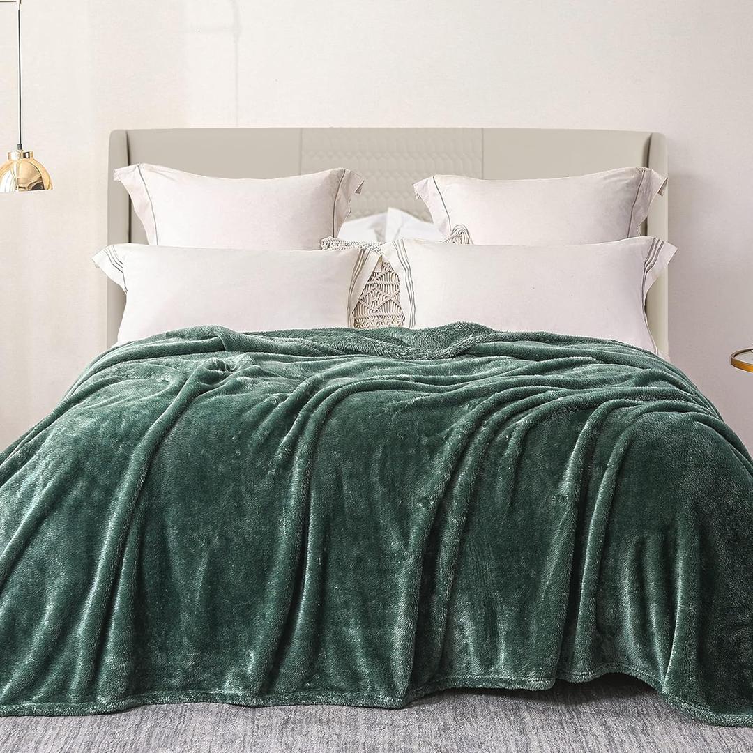 Exclusivo Mezcla Plush Fuzzy Fleece Bed Blanket Queen Size, Super Soft, Fluffy and Warm BlanketsSuitable for All Seasons (Celadon, 90x90 Inches)