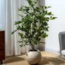 Bailikang Artificial Ficus Tree Indoor 4ft, Large Potted Faux Tree with Realistic Silk Leaves & Trunk for Home Office, Living Room Corner Decor,