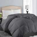 EASELAND Queen Size Down Alternative Comforter - Quilted Duvet Insert for All Seasons, Soft Lightweight with Corner Tabs, Summer Winter Warm Bedding, Dark Grey 8888 Inches