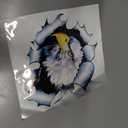 Eagles Decal American Flag Eagle Decal Logo Sticker Fits Car Hood Decal Bonnet Side Univeral Birds Hawk Eagle Stickers Window Decals For Vehicles Emblem Badge Auto Styling Car Graphics (15x14cm Eagle)