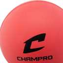 Champro Sports Foam Lacrosse Ball, Pink,12 Pack, One Size