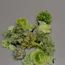 BBTO 21 Pcs Flower Hair Clip Rose Hair Clips Barrettes for Women Flower Accessories Boho Bride Claw Clip Hairpin Brooch Pin Headpiece for Wedding (Green Series)