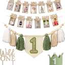 1st Birthday Highchair Banner Decorations Wild One High Chair Banner With Green Tassel Garland Crown Hat Wild One Cake Topper Baby Photo Banner Photoshoot Props Photo Props(Green)