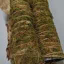 Galapagos 22205 Mossy Perch for Aquarium, 18", Fresh Green