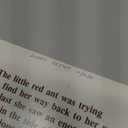 The Little Red Ant Paperback