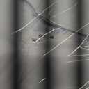 Toulite 12 Pcs Unisex Matte Choir Robes for Church Baptism Gown Confirmation Pulpit Graduation Judge Angel Costume Adults (Size 48)