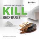 Bed Bug Killer Dust, 1 lb. | Natural Pumice Powder with Powerful Essential Oils for Indoor Treatment of Bed Bugs | Kills Bed Bugs and Eggs by Contact | Low-Odor and Non-Staining Pest Control Powder