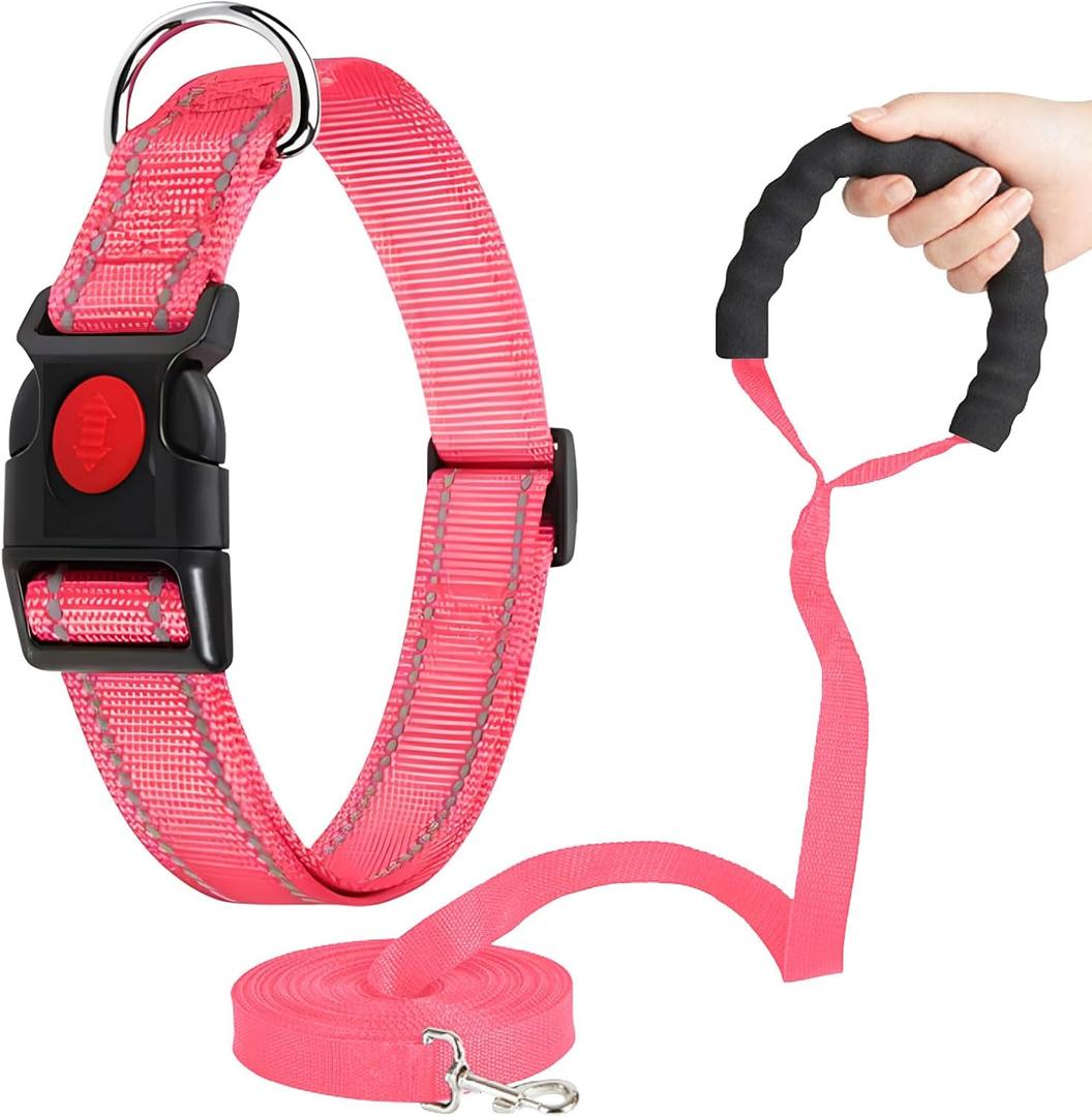 Martingale Collar for Dogs, Reflective Nylon Dog Collar with One 70.86 in Long Dog Leash, Quick Release Buckle, Adjustable Nylon Collars for Dogs Walking Training (Rose S)