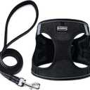BOOMIBOO Dog Harness with Leash Set, No Pull Adjustable Reflective Step-in Puppy Pet Vest Harnesses for Small Medium Large Dogs and Cats,Black L (L(Chest:18"-20"))
