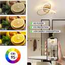 CANEOE Modern Led Ceiling Light,Dimmable Close to Ceiling Light with Remote Control Gold Flush Mount Ceiling Lamp for Bedroom Living Room Kitchen Laundry Room Lamp Lighting Fixtures