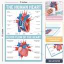 BrightenKidz Biology Posters for Classroom, 15 Pack 11x17 Science Charts