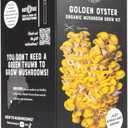 North Spore Organic Golden Oyster Mushroom Spray & Grow Kit (4 lbs) | USDA-Certified Organic, Non-GMO, Beginner-Friendly & Easy to Use | Handmade in Maine, USA (EXP 03/31/26)