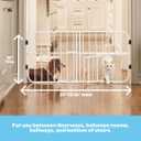Carlson 24-38" Lil Tuffy Expandable Metal Dog Gate for Doorways, Indoor Pet Gate with Small Pet Door, No-Drill Pressure Mount, White
